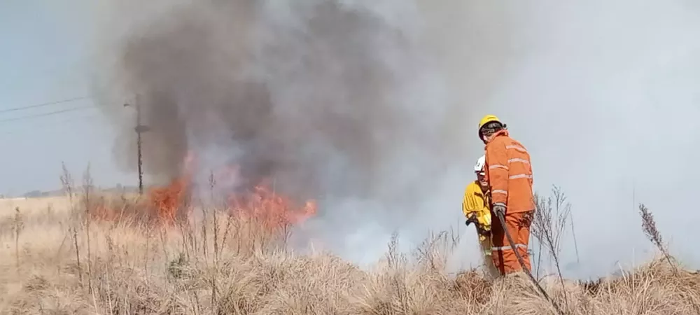 f91742ee-dbaa-47a0-bf3d-9d312adf8413