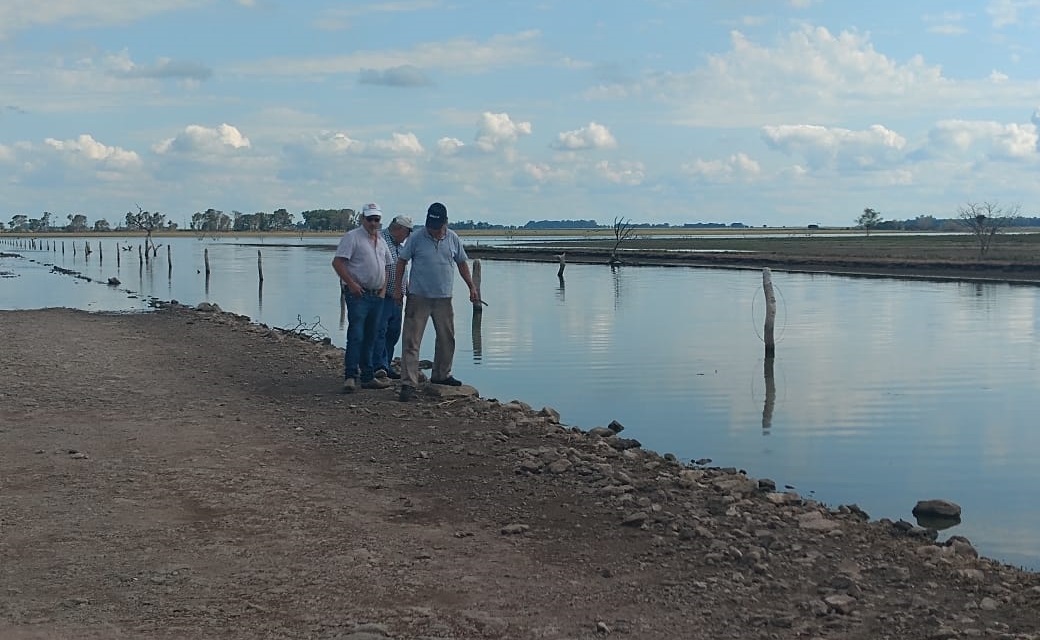 6bddc58f-53b1-4ff4-b60e-709b671319fc