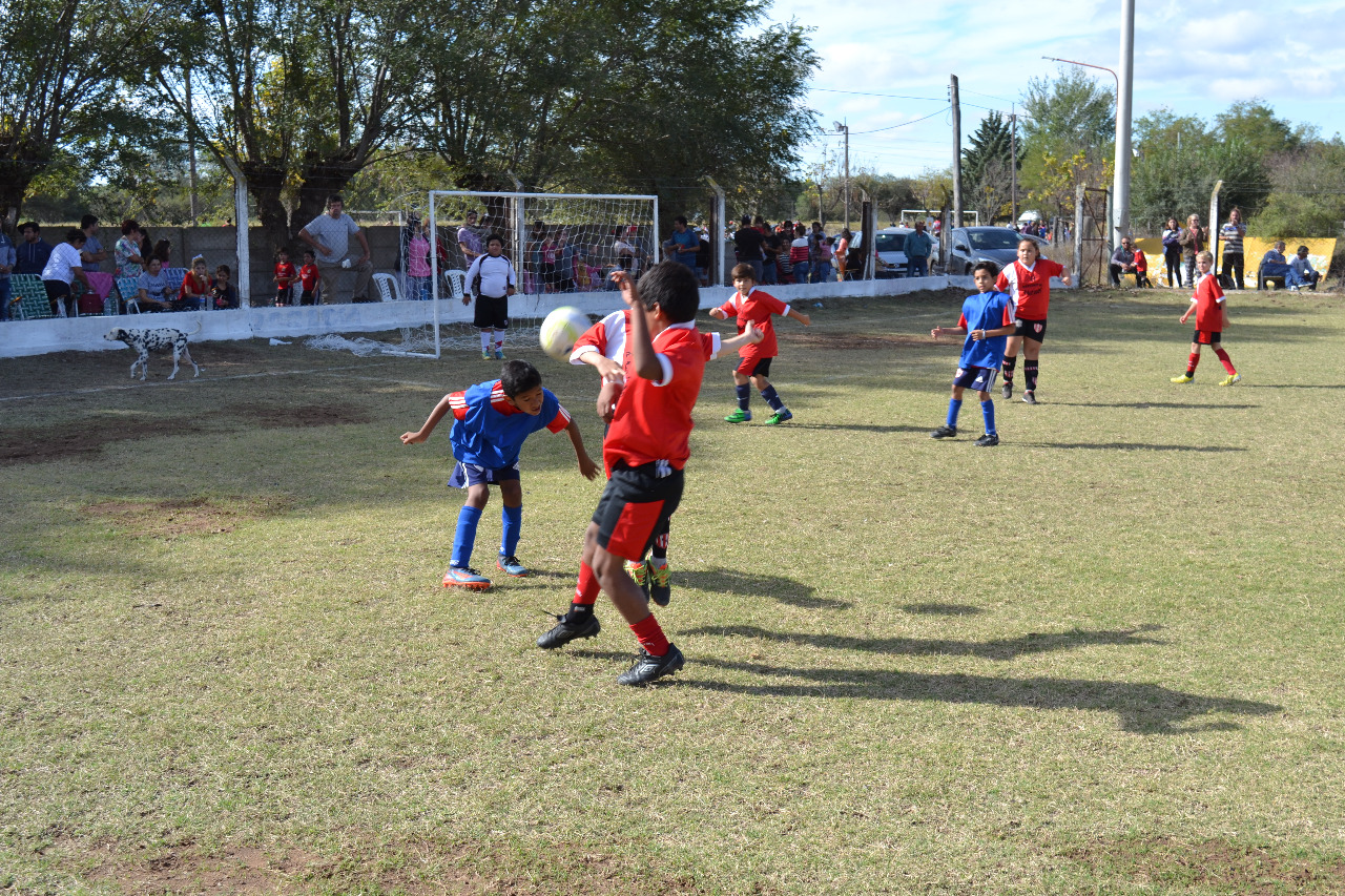 b404f85f-dd54-4ed0-ae49-9c4ebb1cf244