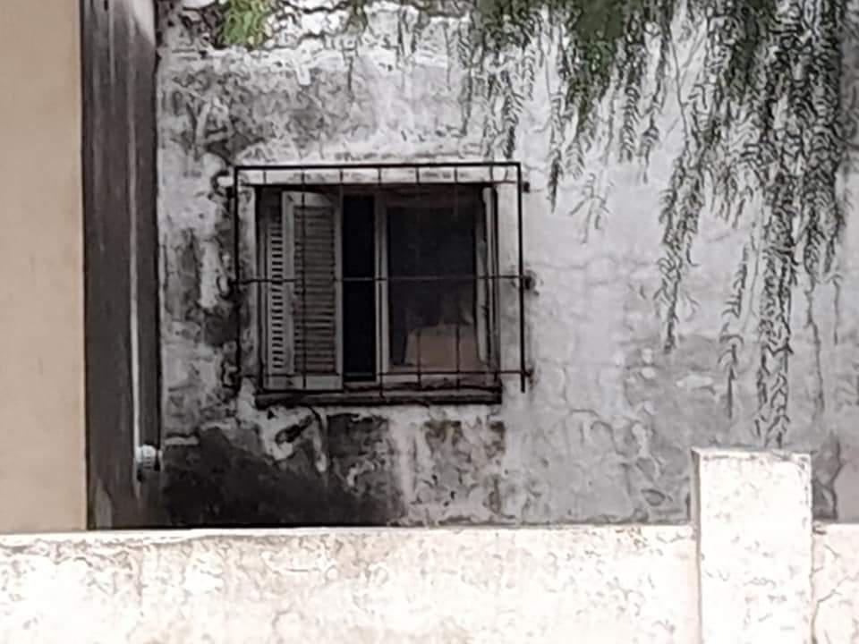 WhatsApp Image 2021-05-21 at 3.53.39 PM