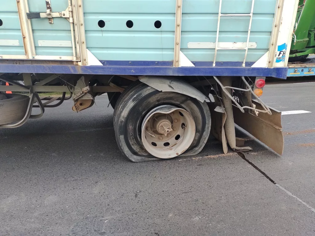 IMG_20211222_071758367 (FILEminimizer)