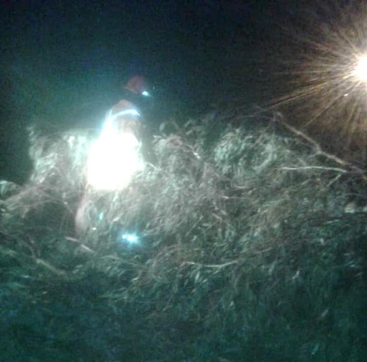 FB_IMG_1545934603162