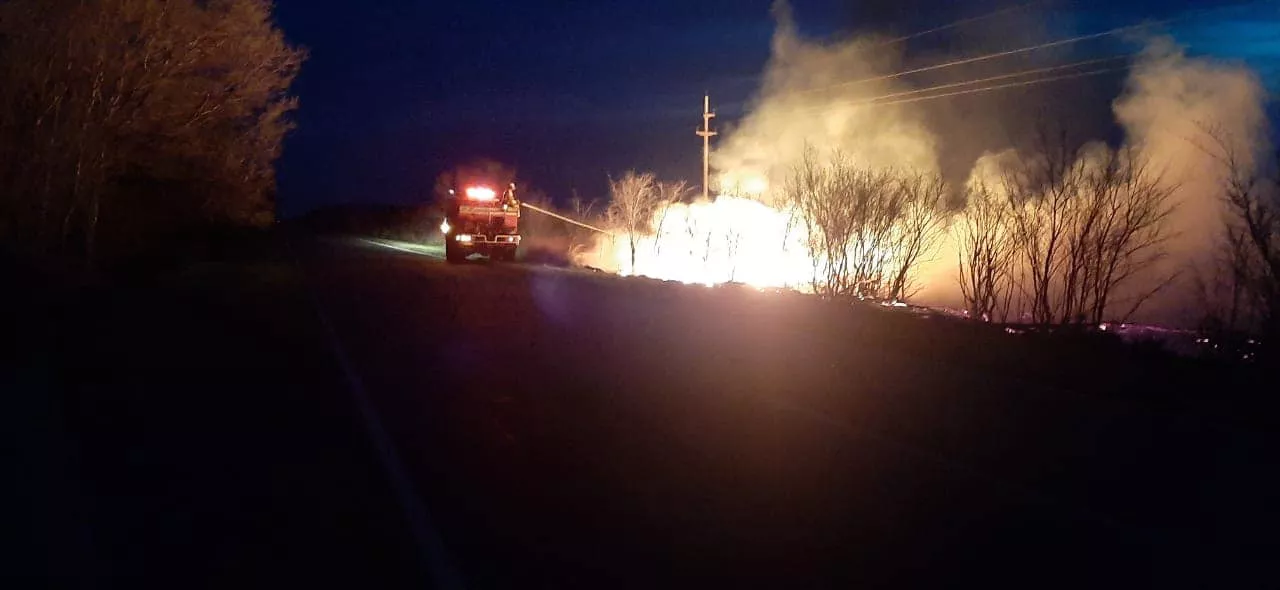 241796384_4632231393455163_6025491331342428590_n