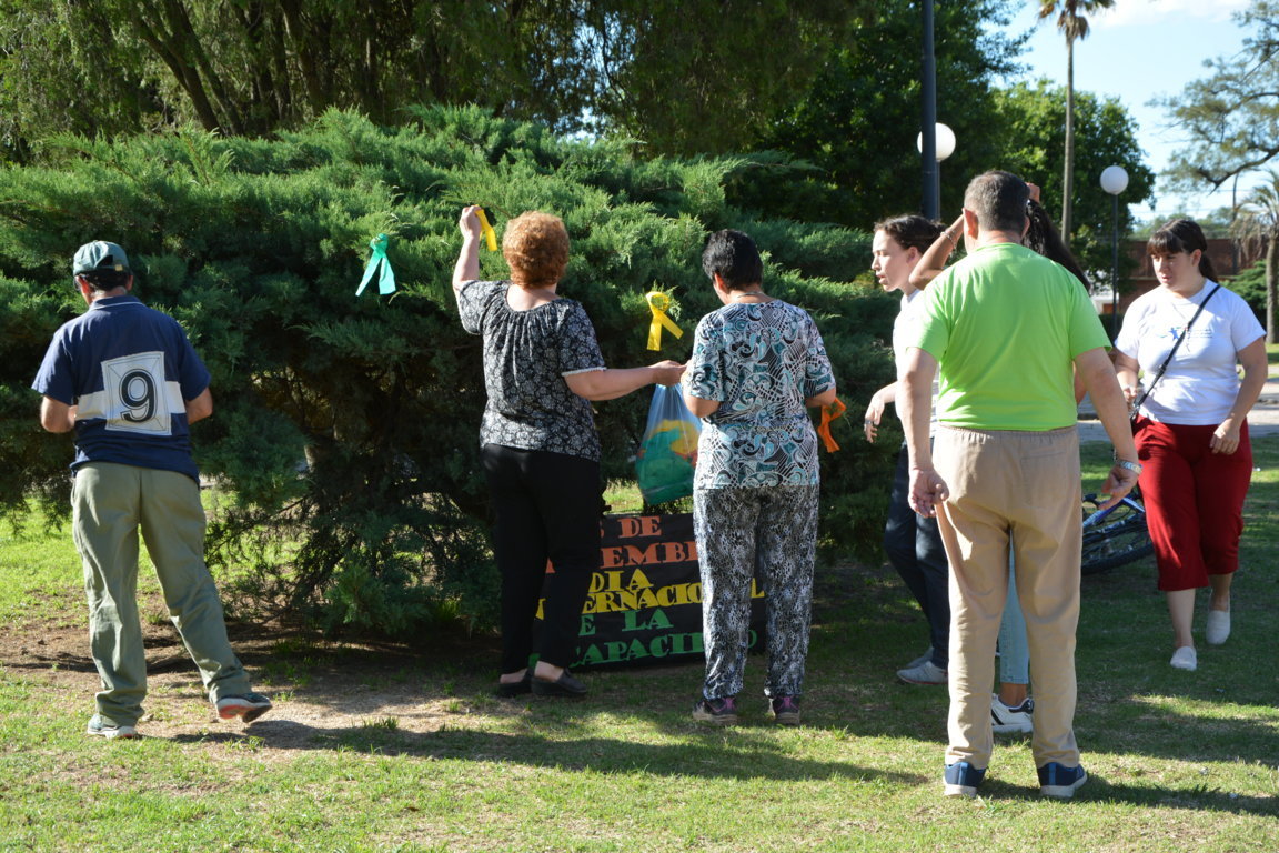 DSC_8033 (FILEminimizer)