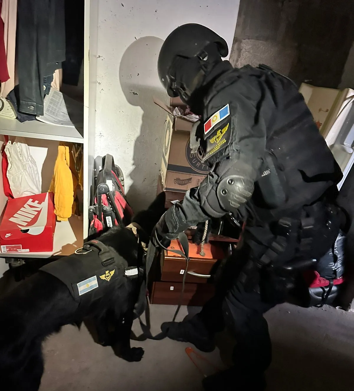 8f6a5a4a-8e85-447f-80e4-964fe00253b7