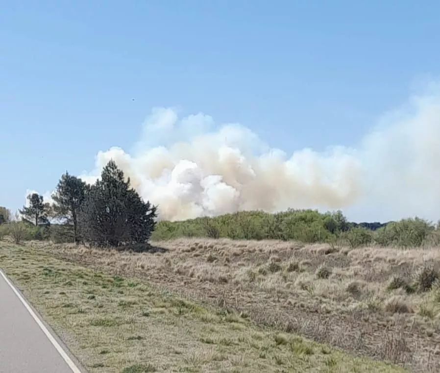 308059301_5798331963511761_6680099933540446048_n