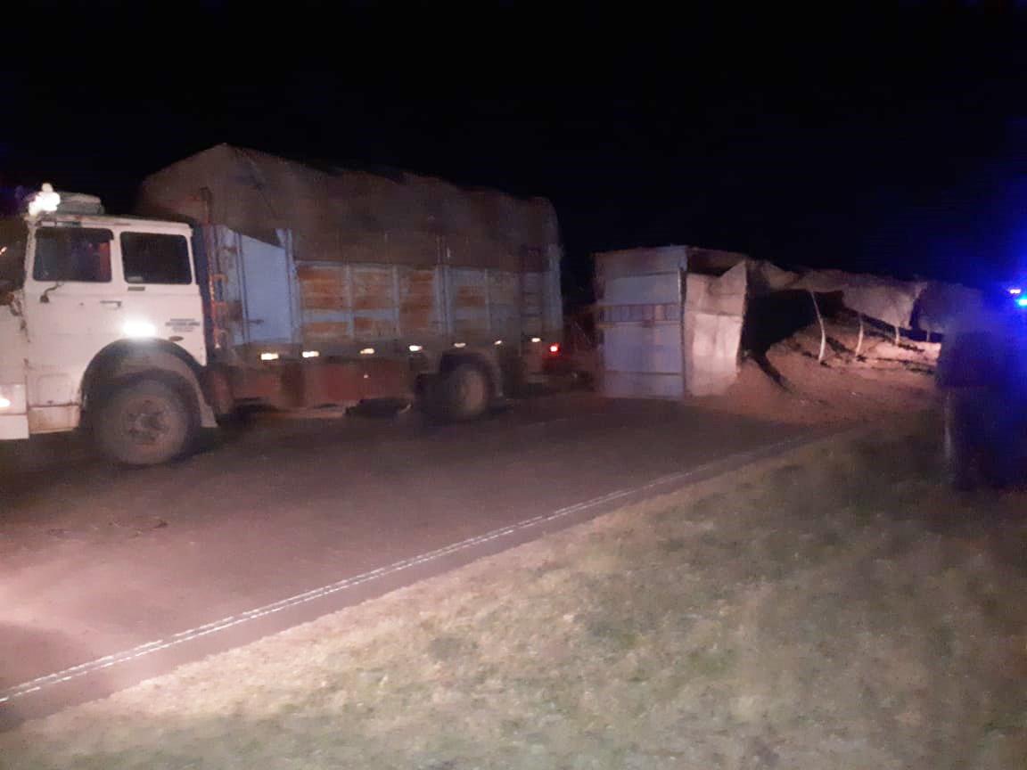 74229185-143f-4e17-91f0-419b002e36d1