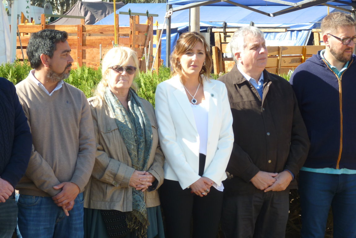 P1410704 (FILEminimizer)