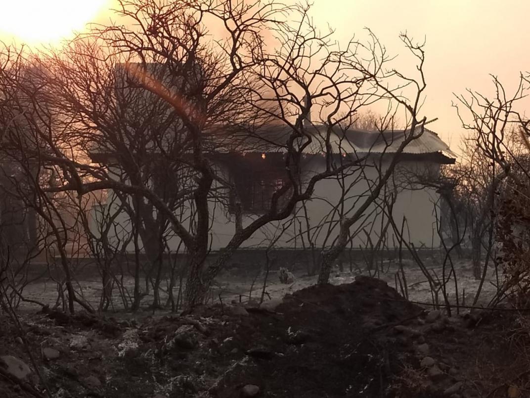 WhatsApp_Image_2020-08-23_at_20.11.16_1598225012