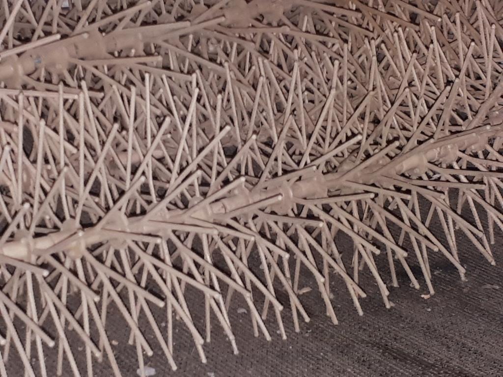 20200703_121653 (FILEminimizer)