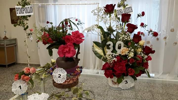 FB_IMG_1573355509383