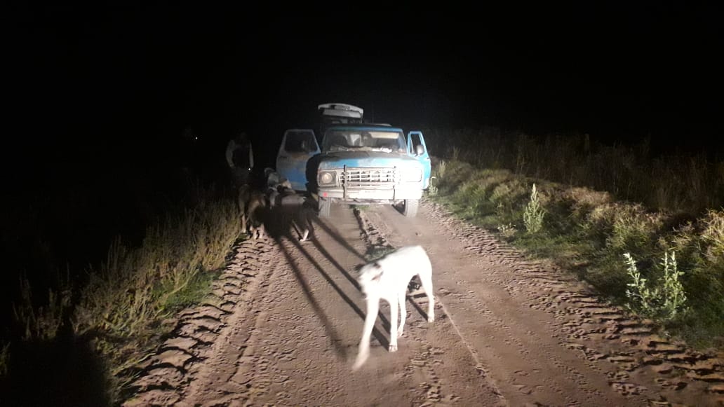 e4cf1df0-6ca0-4ccd-9925-30fac522d4d6