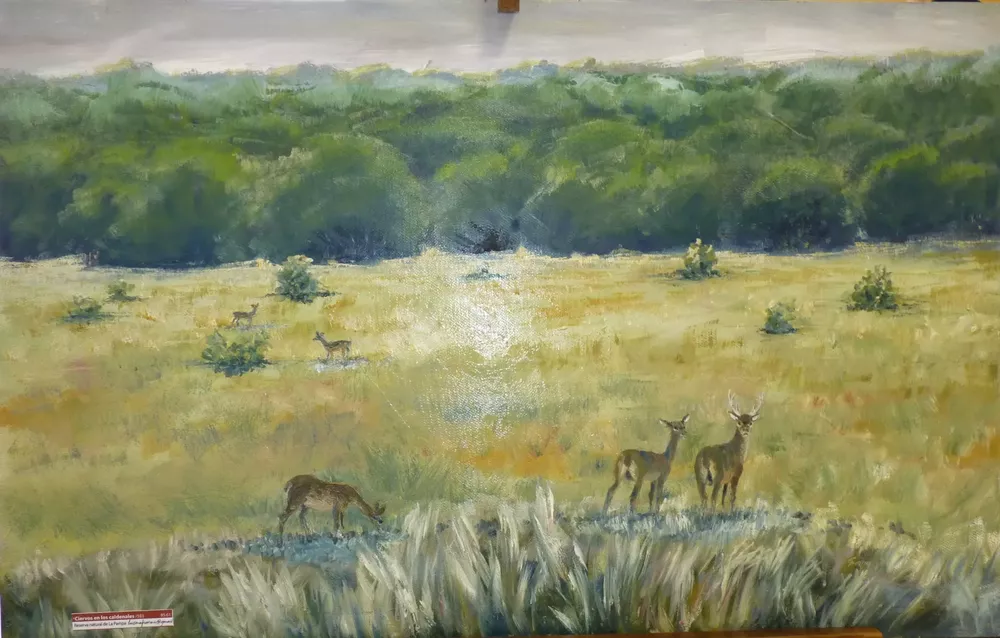 turismo 1 (FILEminimizer)