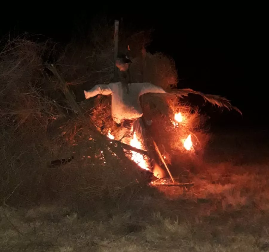 fe73a7c5-325a-46d2-bb46-907cbd2ac35a