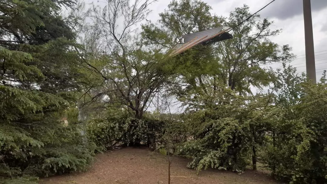 FB_IMG_1697921887714