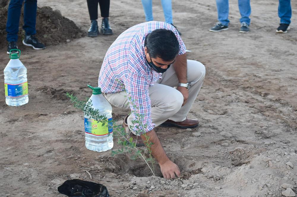 164429699_4194954557203709_7006558797688448523_o