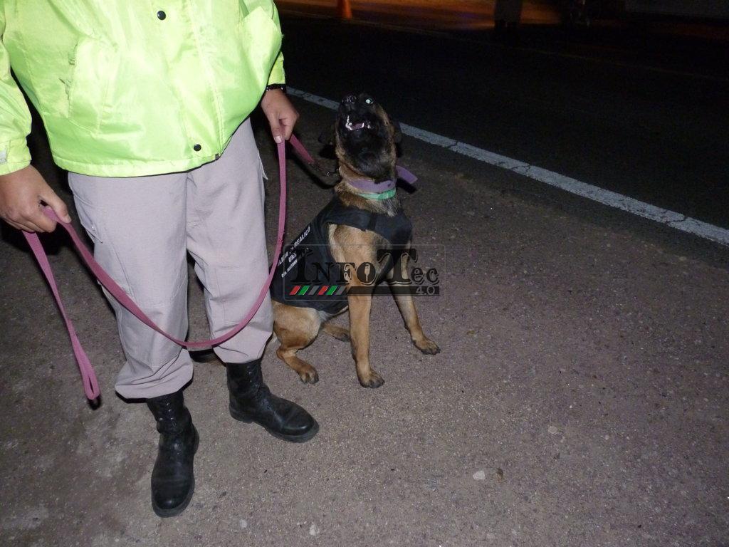 P1220163 (FILEminimizer)