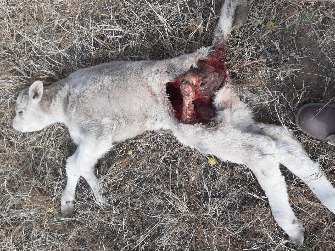 1fbfab0b-6211-40b6-901b-5d2cd55caa75