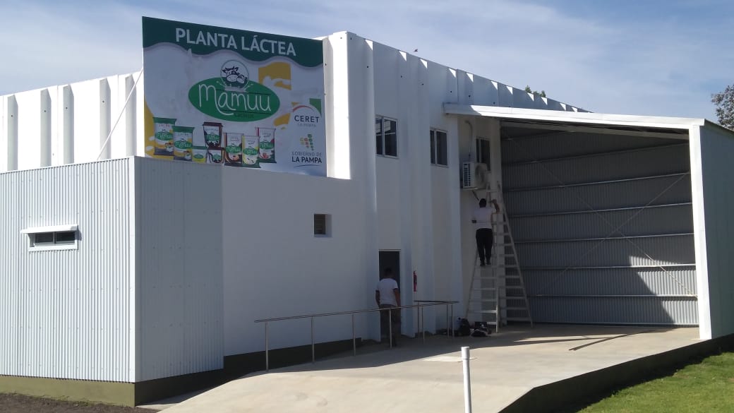 PLANTEA LACTEA MAMUU