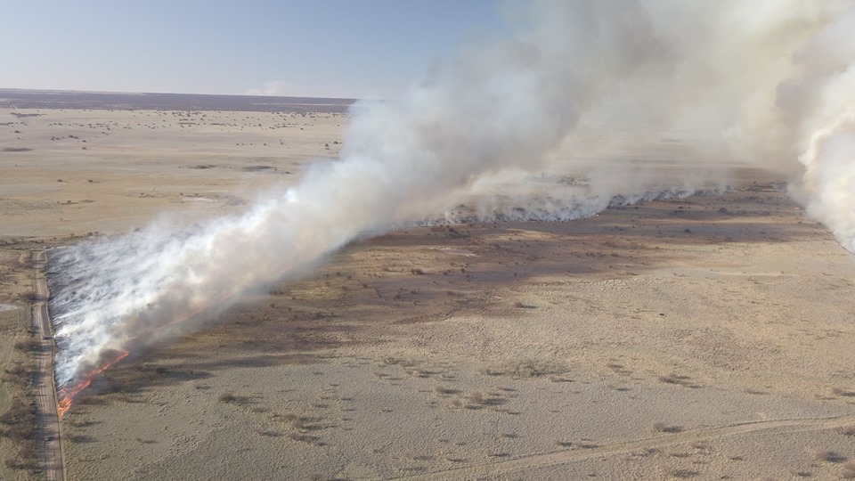 69954207_2786631761369268_9148192684492455936_n