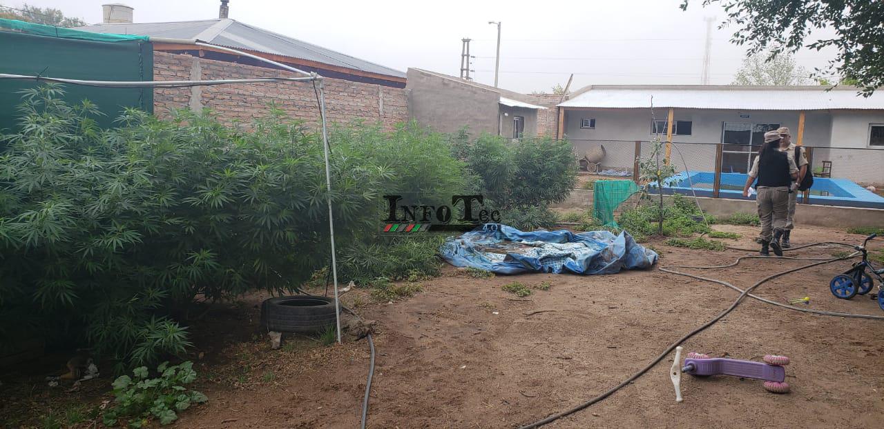 92c643bd-82a6-4b0d-ab6e-9b4901960a31