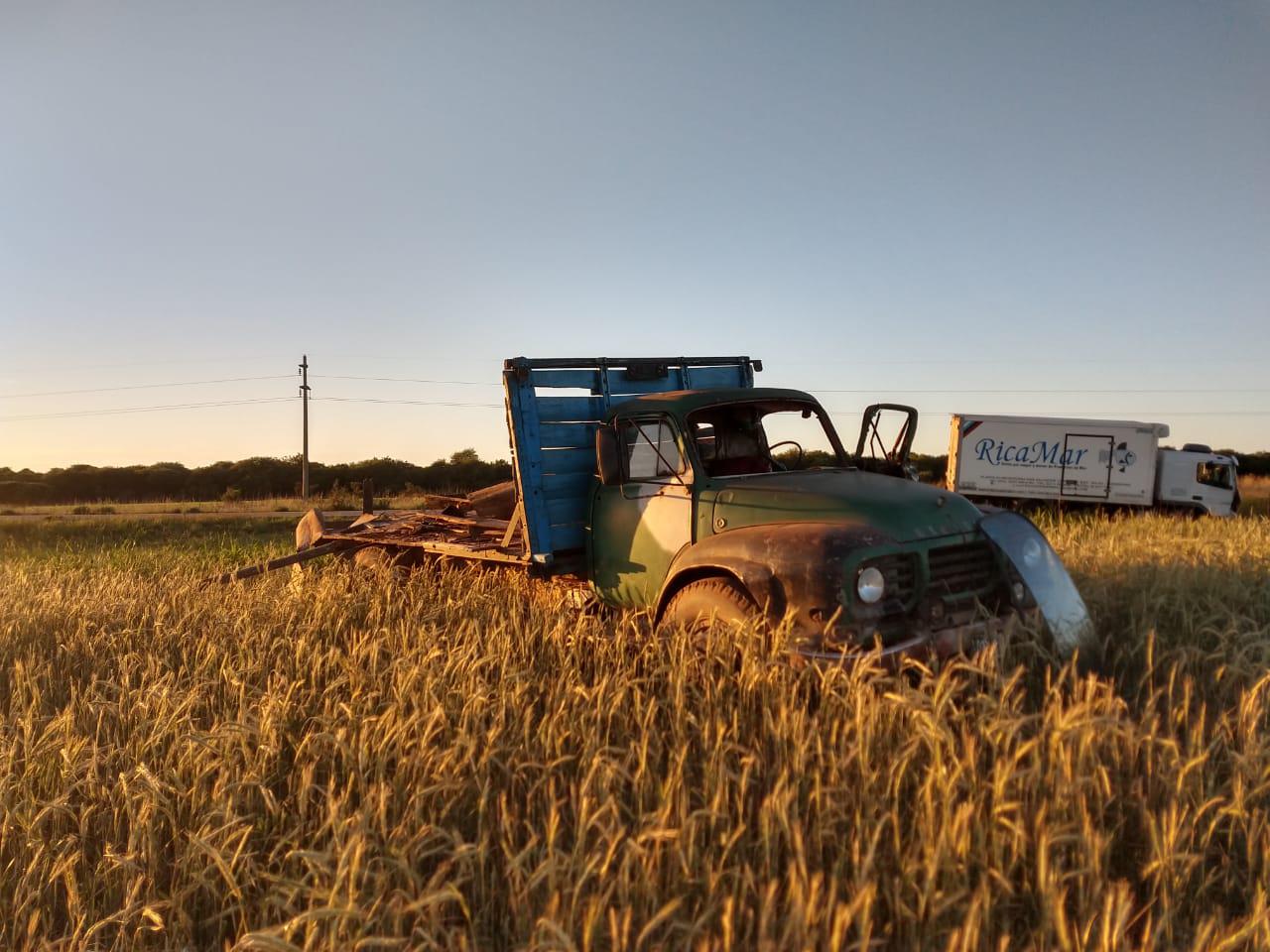 8f010c10-7ef1-4d83-b8bd-dc0414341014