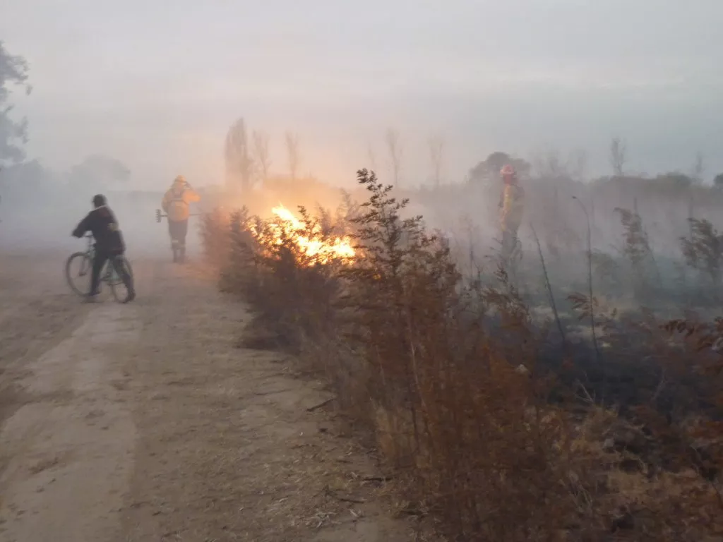 P1140831 (FILEminimizer)