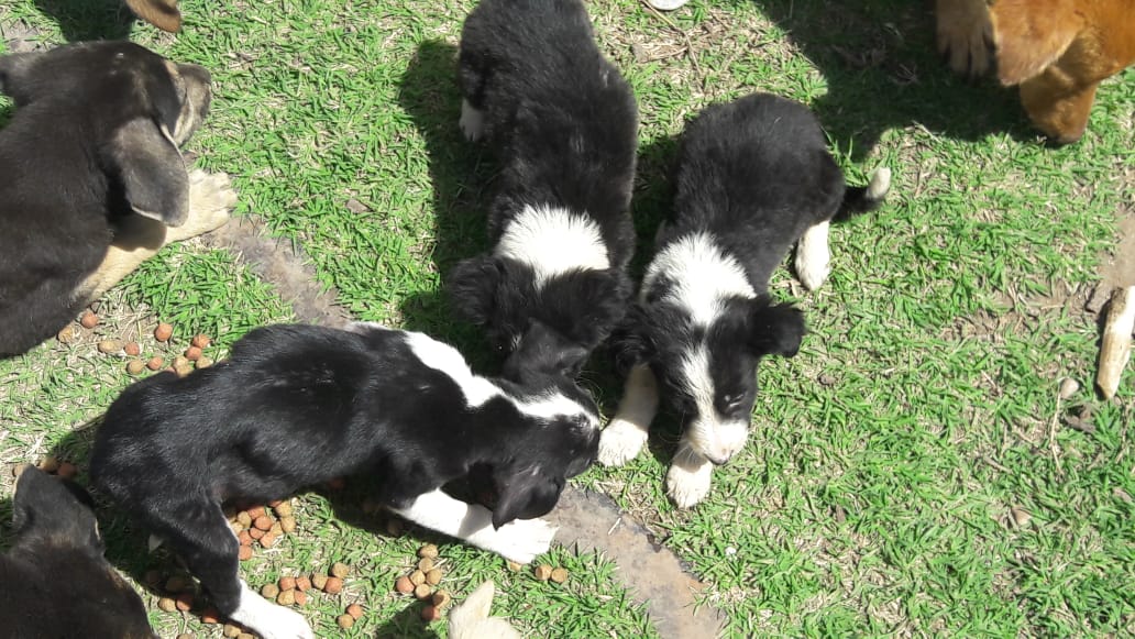 95913d0c-c919-4fad-9d9f-6c24d4f9b79a