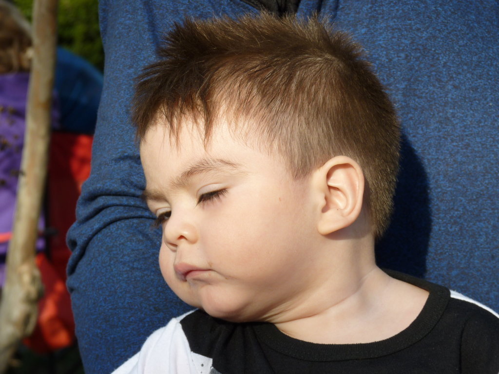 P1240765 (FILEminimizer)