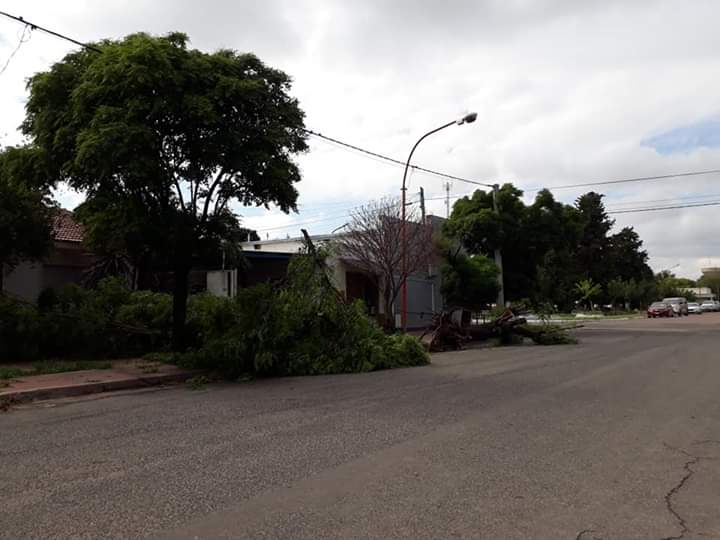 FB_IMG_1545934596521