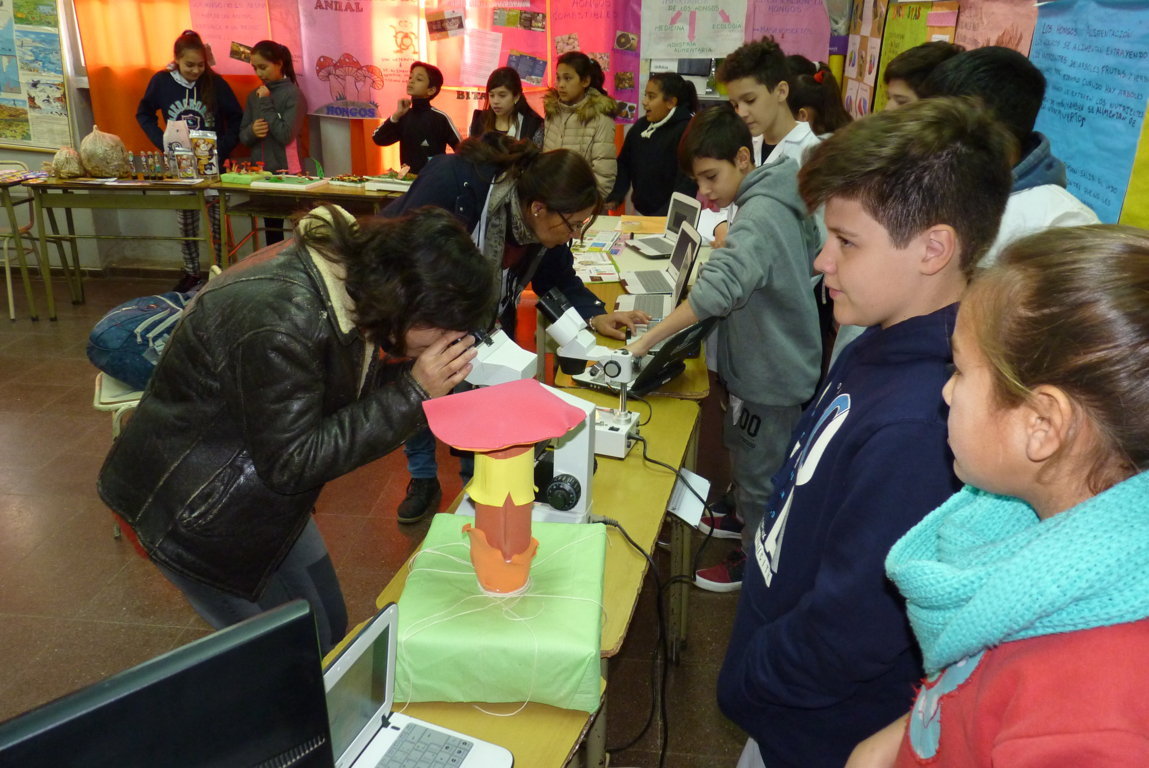 P1380495 (FILEminimizer)