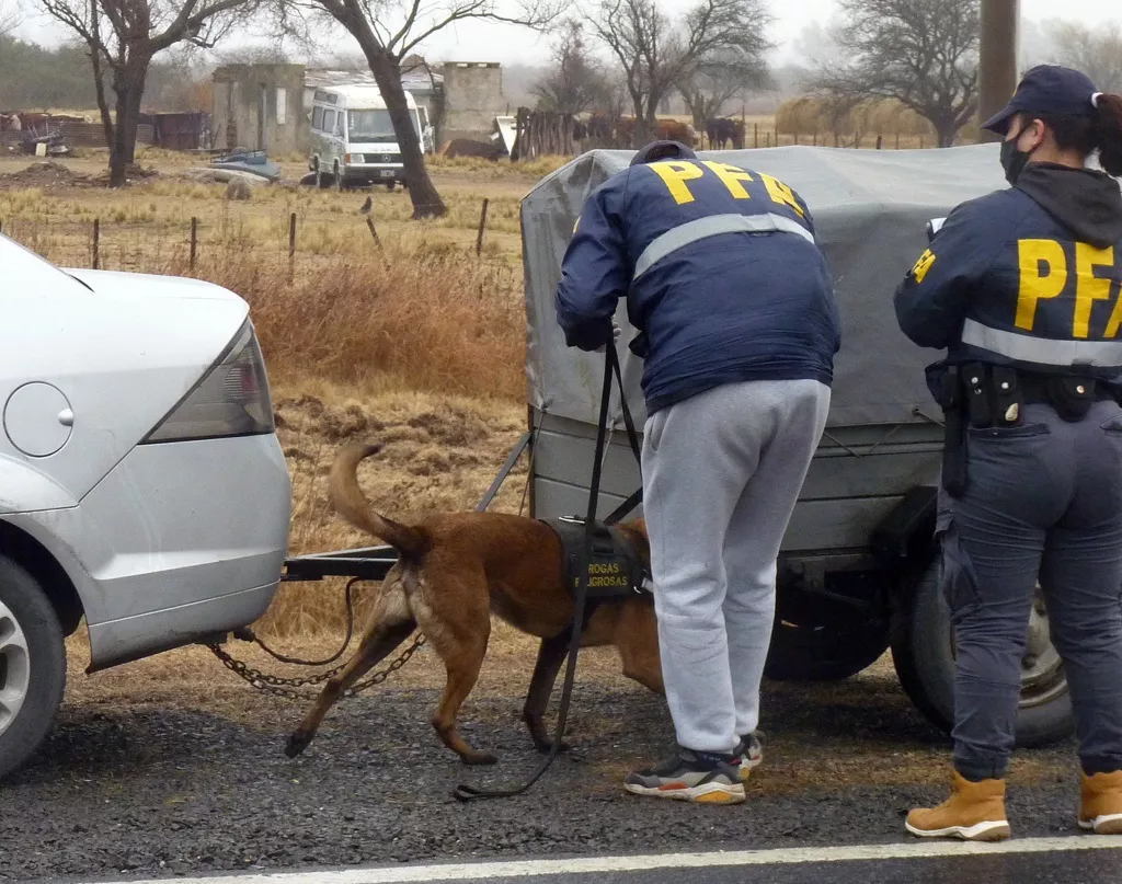 federal 5 (FILEminimizer)