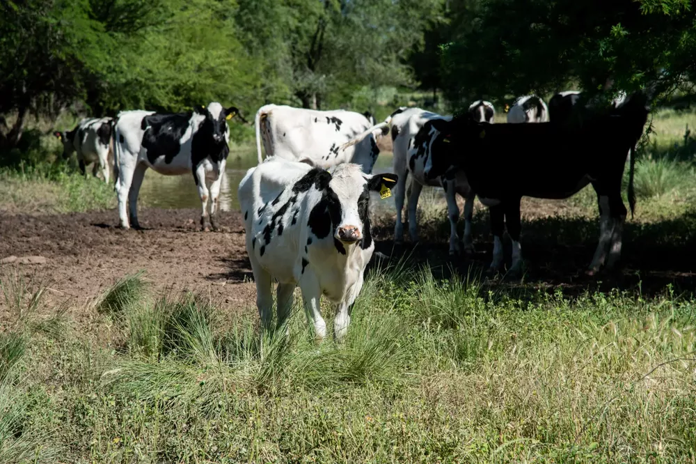 652213_whatsapp-image-2023-02-22-at-19.25.19