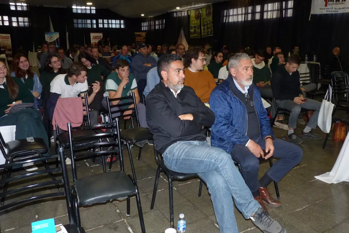 porcinos 10 (FILEminimizer)