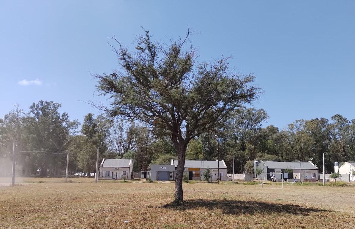 e595b933-8d9a-4615-9382-40b011be7a99