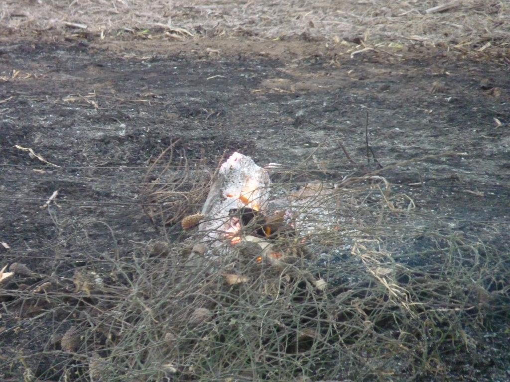 P1060053 (FILEminimizer)