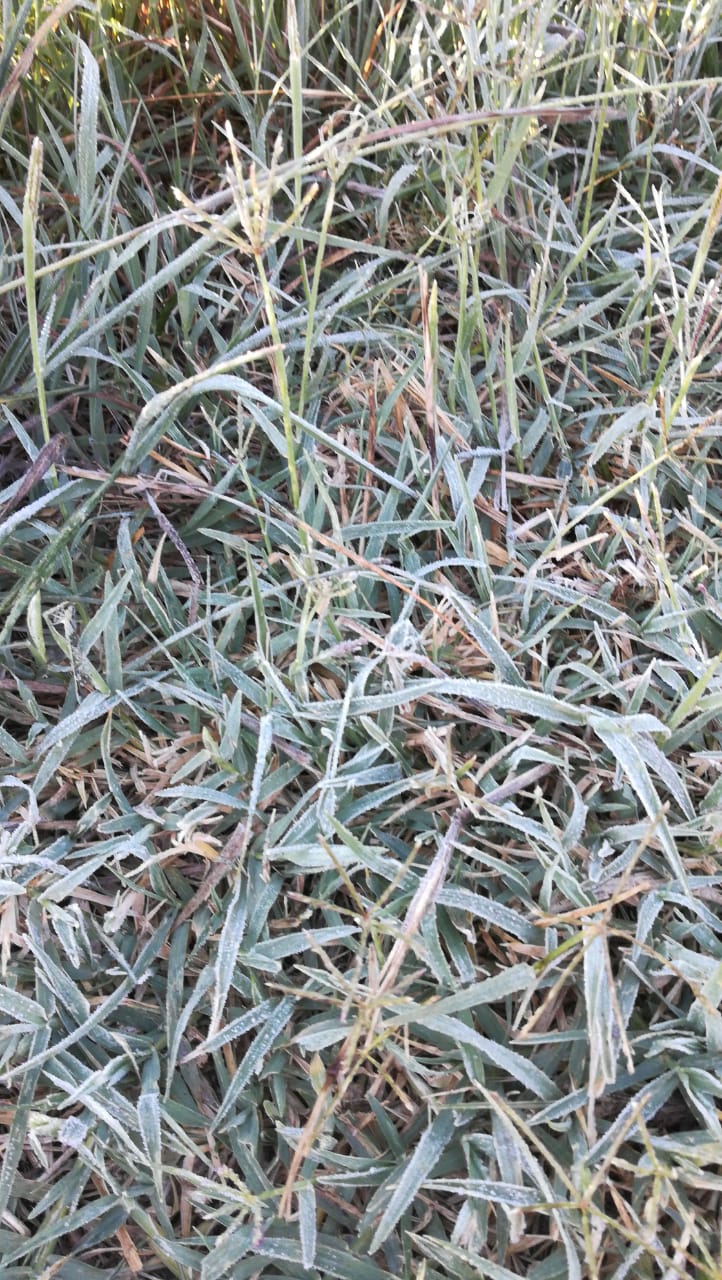 5109b2f0-e8d9-4b63-91b5-2eed05b2eb25