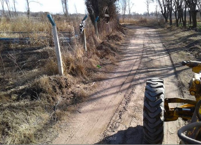 NATATORIO RECUPERACION 7