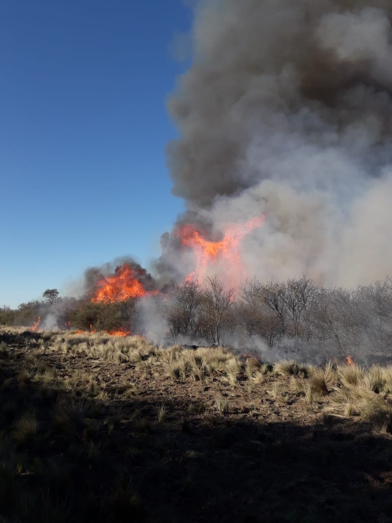 8753f707-be45-4ca5-bf01-889fe30e77cc