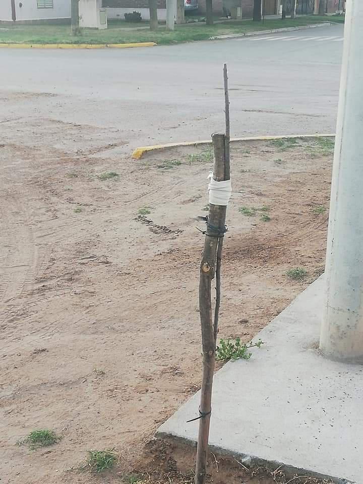 b15f89fc-cef8-444c-8c43-6083f8212e31