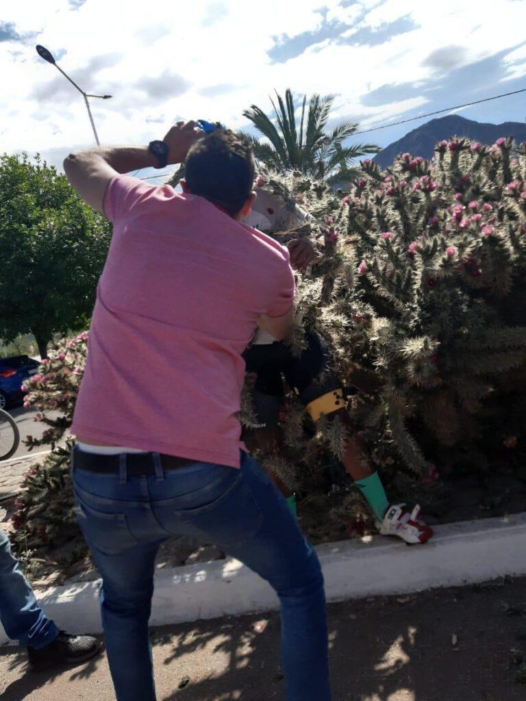 e987c554-fc2f-481b-b81a-8deb11b4e91e-768x1024