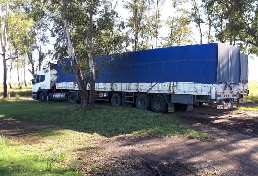 909068a7-e540-4c24-a27c-fbd776f3a1b2