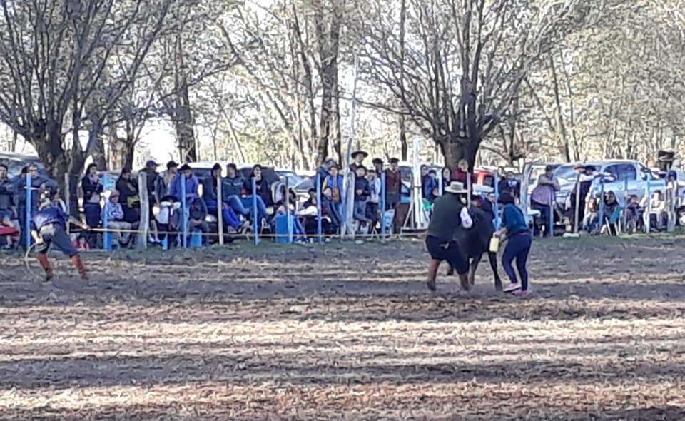 61149753_2464004483611209_5911116670046306304_n