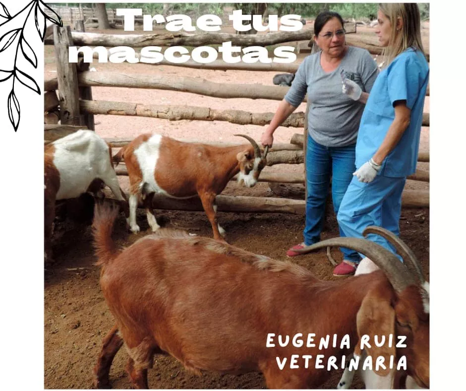 298596216_5681893038488988_8562740915582563246_n