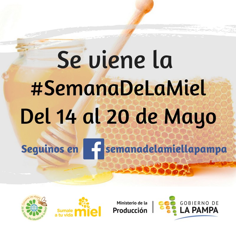 SEMANA DE LA MIEL