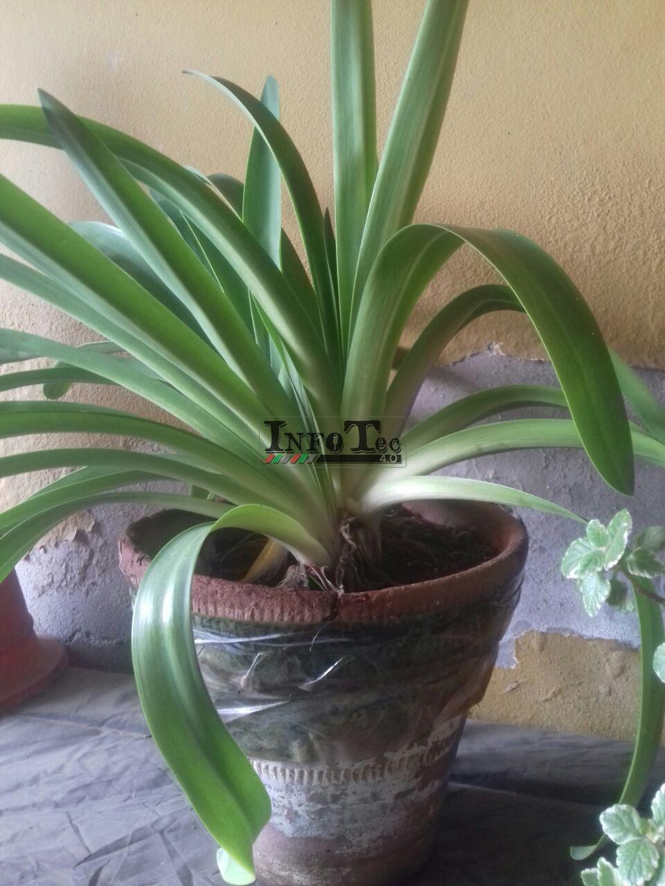 12a76f88-733c-42c9-a7dd-199b65da8c2e