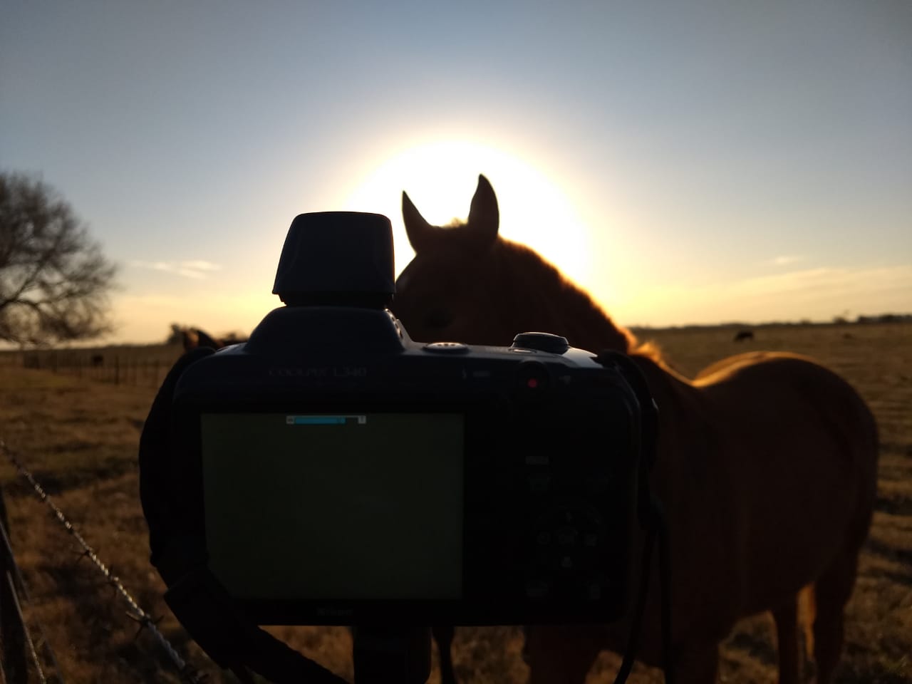 25a85f83-fa9e-4bd3-80bc-55ce5cc27bb4