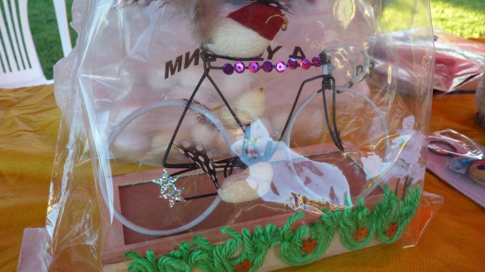 P1090395 (FILEminimizer)