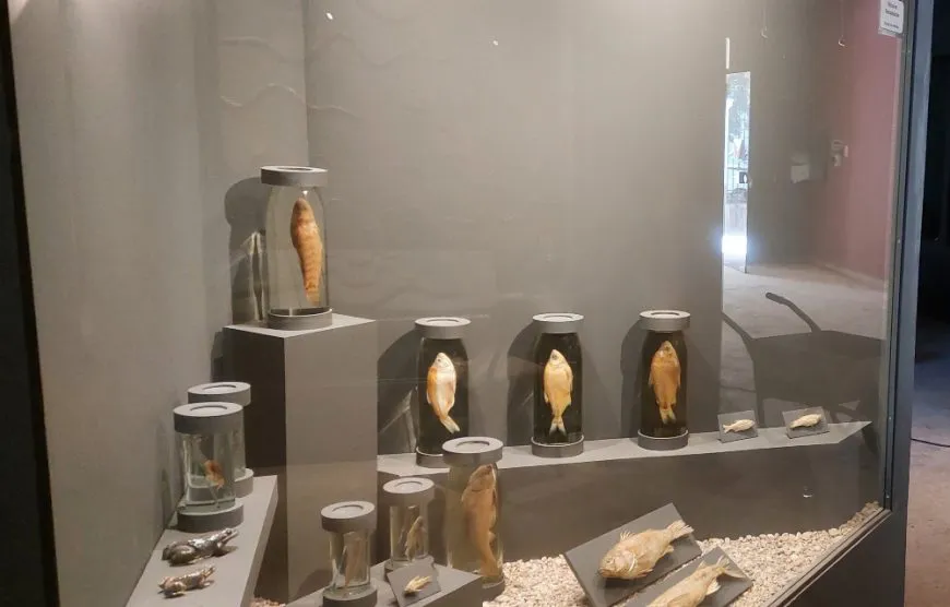 Museo historia natural 2