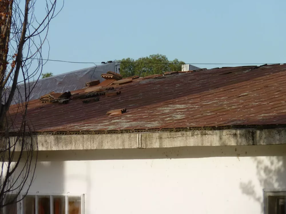 colegio agropecuario 1 (FILEminimizer)